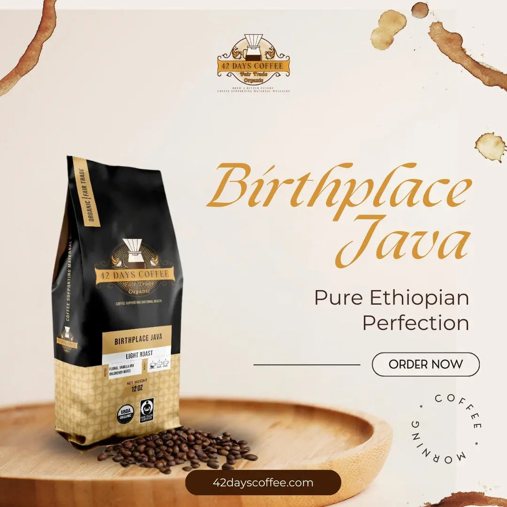 Birthplace Java - Premium Light Roast Organic Coffee 42 Days Coffee