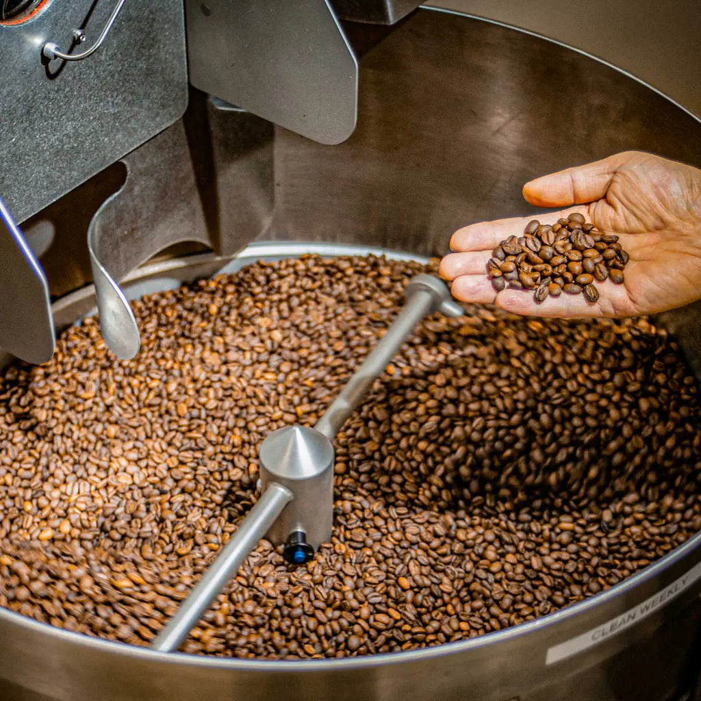 Enzyme Fermented Coffee - Family Size (5lb) Dayes Coffee