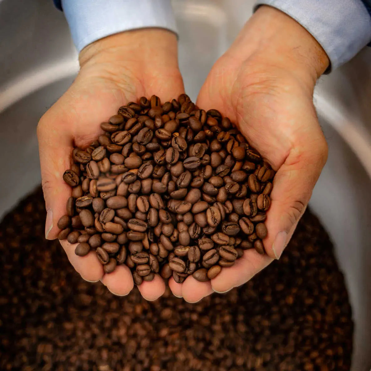 Enzyme Fermented Coffee 12oz (340g) Dayes Coffee
