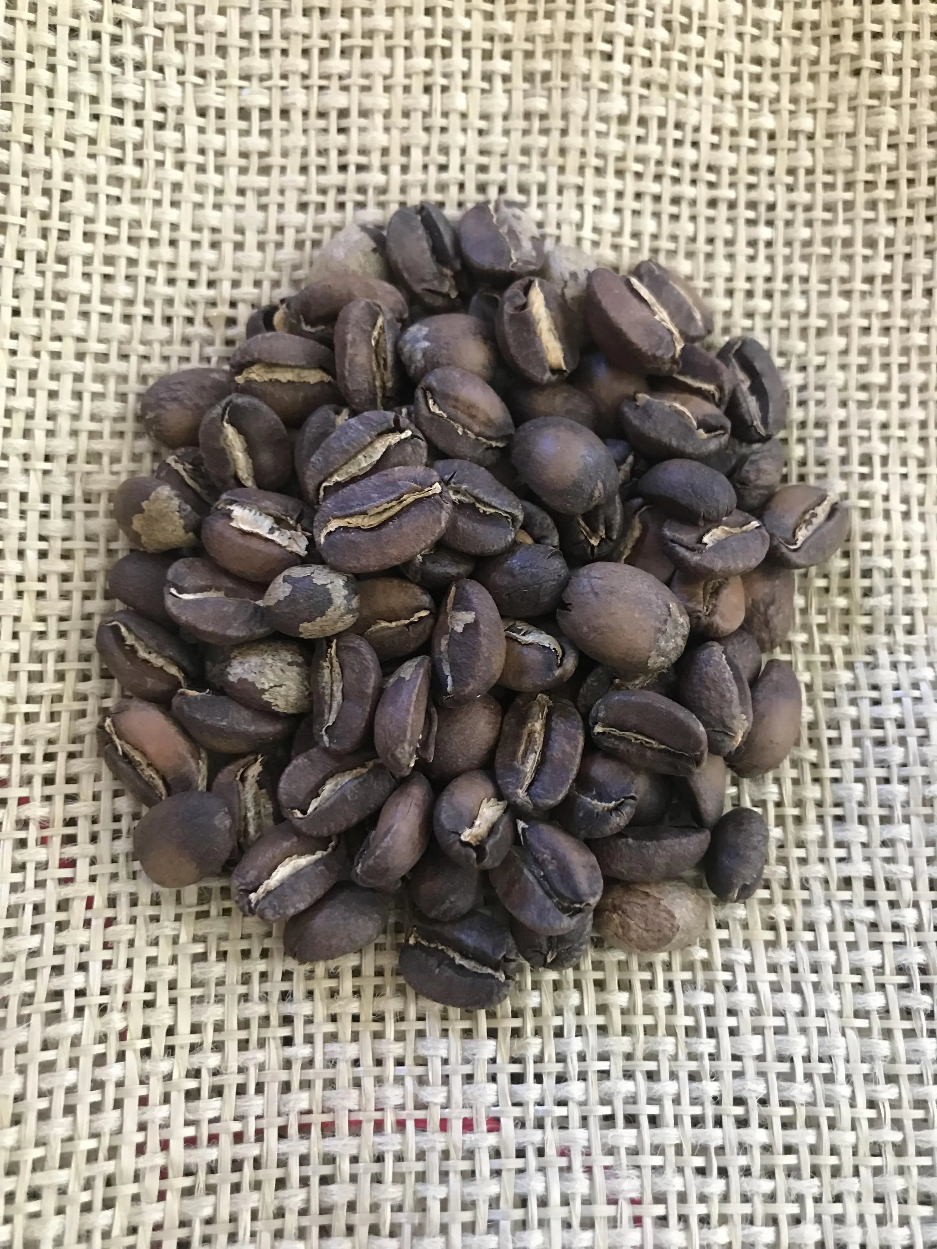 DLAC Endeavor to Dream Foundation 12oz Organic Ethiopian Coffee Benevolent Bean