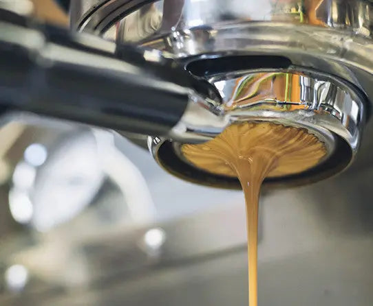 Knee Buckling Espresso Stone Street Coffee