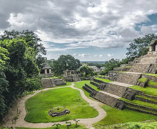 Mayan Water Decaf Stone Street Coffee