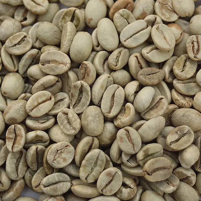 Monsoon Malabar - Signature Medium Iron Bean Coffee Company