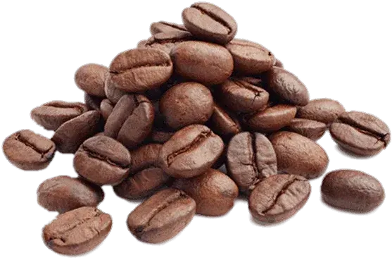 Unicorn Coffee ® Iron Bean Coffee Company